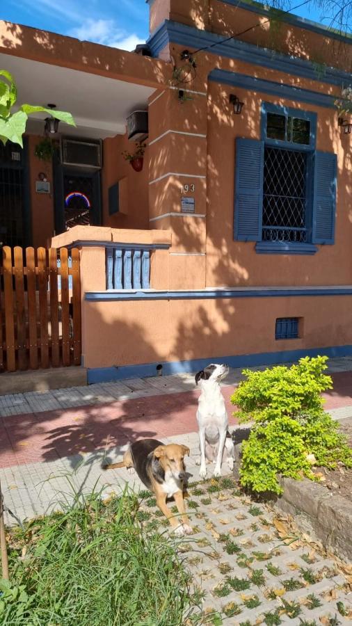 Hostel El Caminito Lgbtqiapn Plus Santos  Exteriér fotografie